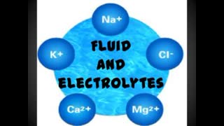 FLUID AND LYTES  INFOGRAPHICS